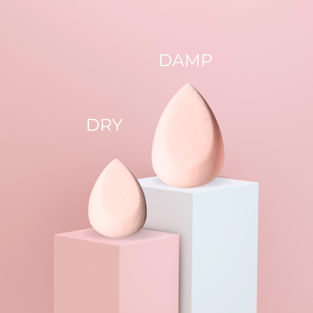 FONDANT SPONGE PRECISION BLENDER