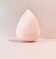 FONDANT SPONGE PRECISION BLENDER