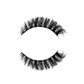 WINGED HYBRIDS LASH